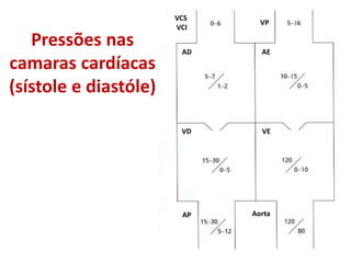 Pressões nas
camaras cardíacas
(sístole e diastóle)
VCS
VCI
AD
VD
AP
VP
AE
VE
Aorta
 