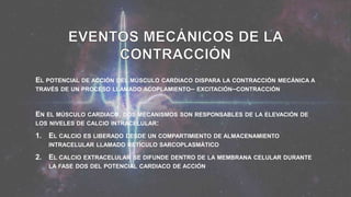 EL POTENCIAL DE ACCIÓN DEL MÚSCULO CARDIACO DISPARA LA CONTRACCIÓN MECÁNICA A
TRAVÉS DE UN PROCESO LLAMADO ACOPLAMIENTO– EXCITACIÓN–CONTRACCIÓN
EN EL MÚSCULO CARDIACO, DOS MECANISMOS SON RESPONSABLES DE LA ELEVACIÓN DE
LOS NIVELES DE CALCIO INTRACELULAR:
1. EL CALCIO ES LIBERADO DESDE UN COMPARTIMIENTO DE ALMACENAMIENTO
INTRACELULAR LLAMADO RETÍCULO SARCOPLASMÁTICO
2. EL CALCIO EXTRACELULAR SE DIFUNDE DENTRO DE LA MEMBRANA CELULAR DURANTE
LA FASE DOS DEL POTENCIAL CARDIACO DE ACCIÓN
 