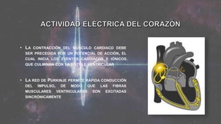 • LA CONTRACCIÓN DEL MÚSCULO CARDIACO DEBE
SER PRECEDIDA POR UN POTENCIAL DE ACCIÓN, EL
CUAL INICIA LOS EVENTOS CARDIACOS E IÓNICOS
QUE CULMINAN CON LA SÍSTOLE VENTRICULAR
• LA RED DE PURKINJE PERMITE RÁPIDA CONDUCCIÓN
DEL IMPULSO, DE MODO QUE LAS FIBRAS
MUSCULARES VENTRICULARES SON EXCITADAS
SINCRÓNICAMENTE
 