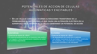 • EN LAS CÉLULAS CARDIACAS OCURREN ALTERACIONES TRANSITORIAS DE LA
PERMEABILIDAD A CIERTOS IONES LO QUE CAUSA UNA ALTERACIÓN ELÉCTRICA EN LA
SUPERFICIE Y EN EL INTERIOR DE LA CÉLULA GENERANDO UN POTENCIAL DE ACCIÓN
Automáticas
• Potencial de reposo de –60mV
• El potencial gradualmente se va haciendo más positivo
• La irregular y lenta despolarización diastólica es señal
de actividad espontánea
Excitables
• Potencial de reposo de –80mV
• Se despolarizan por acción de un estimulo
• Las células musculares de las aurículas y ventrículos
son excitables, pero normalmente no poseen
capacidad automática o de marcapaso
 