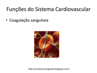 Funções do Sistema Cardiovascular
• Coagulação sanguínea




           http://cardiovasculogando.blogspot.com/
 