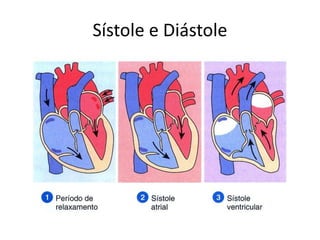Sístole e Diástole
 