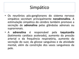 Simpático
• Os neurônios pós-ganglionares do sistema nervoso
  simpático secretam principalmente noradrenalina. A
  estimulação simpática do cérebro também promove a
  secreção de adrenalina pelas glândulas adrenais ou
  suprarrenais.
• A adrenalina é responsável pela taquicardia
  (batimento cardíaco acelerado), aumento da pressão
  arterial e da frequência respiratória, aumento da
  secreção do suor, da glicose sanguínea e da atividade
  mental, além da constrição dos vasos sanguíneos da
  pele.
 