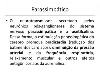 Parassimpático
• O     neurotransmissor    secretado    pelos
  neurônios pós-ganglionares do sistema
  nervoso parassimpático é a acetilcolina.
  Dessa forma, a estimulação parassimpática do
  cérebro promove bradicardia (redução dos
  batimentos cardíacos), diminuição da pressão
  arterial e da frequência respiratória,
  relaxamento muscular e outros efeitos
  antagônicos aos da adrenalina.
 