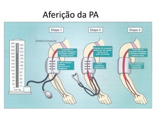 Aferição da PA
 