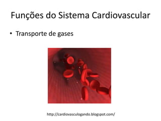Funções do Sistema Cardiovascular
• Transporte de gases




            http://cardiovasculogando.blogspot.com/
 