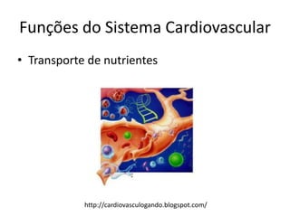 Funções do Sistema Cardiovascular
• Transporte de nutrientes




            http://cardiovasculogando.blogspot.com/
 