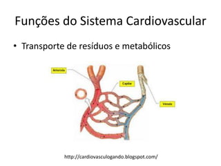 Funções do Sistema Cardiovascular
• Transporte de resíduos e metabólicos




            http://cardiovasculogando.blogspot.com/
 