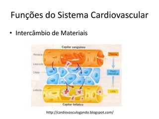 Funções do Sistema Cardiovascular
• Intercâmbio de Materiais




            http://cardiovasculogando.blogspot.com/
 