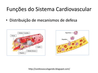 Funções do Sistema Cardiovascular
• Distribuição de mecanismos de defesa




            http://cardiovasculogando.blogspot.com/
 