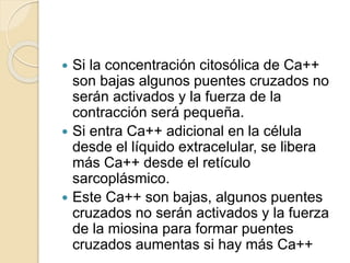Fisiologia cardiovascular | PPTX