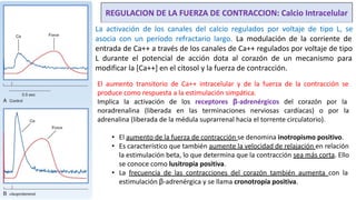 Fisiologia_Cardiovascular_I SESION 4 JUEVES.pptx.pdf