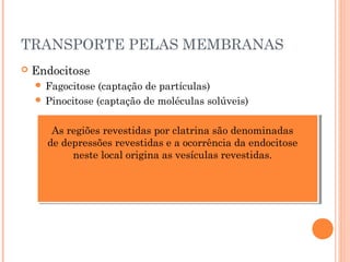 TRANSPORTE PELAS MEMBRANAS
 Endocitose
 Fagocitose (captação de partículas)
 Pinocitose (captação de moléculas solúveis)
As regiões revestidas por clatrina são denominadas
de depressões revestidas e a ocorrência da endocitose
neste local origina as vesículas revestidas.
 