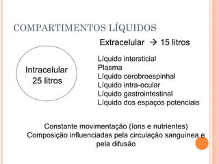COMPARTIMENTOS LÍQUIDOS
Intracelular
25 litros
Extracelular  15 litros
Líquido intersticial
Plasma
Líquido cerobroespinhal
Líquido intra-ocular
Líquido gastrointestinal
Líquido dos espaços potenciais
Constante movimentação (íons e nutrientes)
Composição influenciadas pela circulação sanguínea e
pela difusão
 