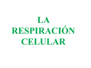 LA
RESPIRACIÓN
CELULAR
 