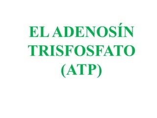 ELADENOSÍN
TRISFOSFATO
(ATP)
 
