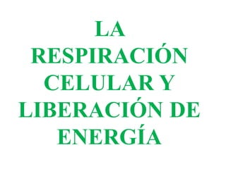 LA
RESPIRACIÓN
CELULAR Y
LIBERACIÓN DE
ENERGÍA
 