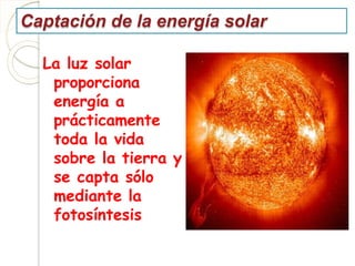 Captación de la energía solar
La luz solar
proporciona
energía a
prácticamente
toda la vida
sobre la tierra y
se capta sólo
mediante la
fotosíntesis
 