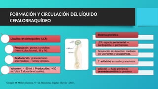 fisiologia cerebral una visión desde del punto de vista anestésico | PPTX