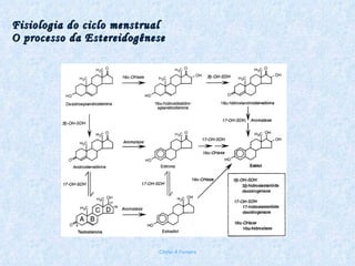 Fisiologia do ciclo menstrual O processo da Estereidogênese Chirlei A Ferreira 