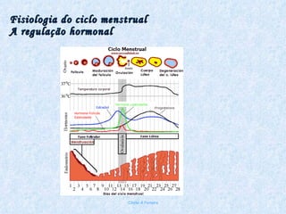 Fisiologia do ciclo menstrual A regulação hormonal Chirlei A Ferreira 