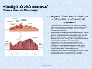 Fisiologia do ciclo menstrual Controle Local da Menstruação A imagem ao lado nos mostra a relação entre o ciclo ovariano e o ciclo endometrial. O Endométrio Os hormônios são secretados por suas respectivas glândulas endócrinas na circulação na circulação, onde se ligam (cerca de 95%) a proteínas carreadoras – SHBG – servindo como um reservatório de esteróides.  Após a ligação forma-se um complexo esteróide-receptor, fazendo o receptor sofre uma alteração conformacional (alostérica) na sua estrutura, convertendo-o de uma conformação inativa para ativa.  Esta mudança permite que o complexo tenha capacidade de transferir para o núcleo, onde irá ligar aos elementos reguladores dos genes ativando ou suprimindo suas funções. No endométrio atuam basicamente os estrogênios e a progesterona, que são os hormônios responsáveis pelas modificações cíclicas características desta mucosa, embora androgênios e corticosteróides em determinadas condições também possam alterar a resposta endometrial. É importante ter em mente que o endométrio está sujeito a ações simultâneas de vários hormônios que podem interagir, modificando e às vezes antagonizando uns aos outros. Chirlei A Ferreira 