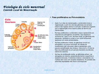 Fisiologia do ciclo menstrual Controle Local da Menstruação Fase proliferativa ou Pré-ovulatória Após 3 a 4 dias de menstruação, o endométrio inicia a regeneração a partir do colo das glândulas da camada basal e das regiões ístmico e cornuais. Evidências sugerem que a regeneração inicia mesmo antes do término da menstruação. Na fase proliferativa o endométrio cresce rapidamente em resposta aos estrogênios circulantes. Sua espessura aumenta de 1 para 3 mm. Na fase inicial, as glândulas são pequenas, tubulares e curtas e num corte transversal aparecem em anéis arredondados. Na fase proliferativa média, as glândulas tornam-se alongadas e um pouco tortuosas. As células de revestimento são colunares, altas e apresentam uma pseudo estratificação dos núcleos. Cerca de 8 a 10 dia da fase de proliferação há um período transitório de discreto edema do estroma. Na fase de proliferação tardia, as glândulas acham –se alongadas ao máximo, perpendicularmente à superfície e bastante tortuosas. O estroma é denso e abundante e os núcleos são ovais com escasso citoplasma. As paredes das arteríolas espiraladas são finas e inconspícuas. Chirlei A Ferreira 