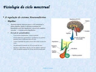 Fisiologia do ciclo menstrual A regulação do sistema Neuroendócrino Hipófise: Anatomicamente interessa para o ciclo menstrual a adeno-hipófise ligada à eminência mediana do hipotálamo pelo talo hipofisário, através de complexo vascular – o sistema porta-hipofisário. Secreção de  gonadotrofinas: Característica fundamental : natureza pulsátil Existem diferenças quantitativas e qualitativas nos padrões pulsáteis entre as diferentes fases do ciclo; A maior amplitude dos pulsos foram observadas no meio-do-ciclo,; Na puberdade há aumento do LH no período de sono; Durante os dois últimos dias do ciclo há aumento rápido de FSH, há também aumento de LH mas não tão pronunciado. Chirlei A Ferreira 