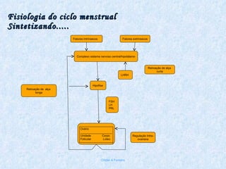 Fisiologia do ciclo menstrual Sintetizando..... Chirlei A Ferreira Fatores Intrínsecos Fatores extrínsecos Complexo sistema nervoso central/hipotálamo LHRH Hipófise Retroação de alça  curta Regulação Intra- ovariana FSH LH PRL Ovário ____________________ Unidade  Corpo Folicular  Lúteo Retroação de  alça  longa 