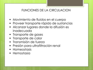 FUNCIONES DE LA CIRCULACION
 Movimiento de fluidos en el cuerpo
 Proveer transporte rápido de sustancias
 Alcanzar lugares donde la difusión es
inadecuada
 Transporte de gases
 Transporte de calor
 Transmisión de fuerza
 Presión para ultrafiltración renal
 Homeostasis
 Hemostasia

 