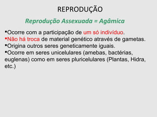 Ocorre com a participação de um só indivíduo.
Não há troca de material genético através de gametas.
Origina outros seres geneticamente iguais.
Ocorre em seres unicelulares (amebas, bactérias,
euglenas) como em seres pluricelulares (Plantas, Hidra,
etc.)
Reprodução Assexuada = Agâmica
REPRODUÇÃO
 