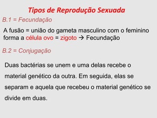 A fusão = união do gameta masculino com o feminino
forma a célula ovo = zigoto  Fecundação
B.1 = Fecundação
Tipos de Reprodução Sexuada
B.2 = Conjugação
Duas bactérias se unem e uma delas recebe o
material genético da outra. Em seguida, elas se
separam e aquela que recebeu o material genético se
divide em duas.
 