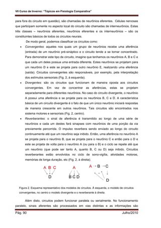 VII Curso de Inverno: “Tópicos em Fisiologia Comparativa”
Pág. 90 Julho/2010
para fora do circuito em questão), são chamadas de neurônios eferentes. Células nervosas
que participam somente no aspecto local do circuito são chamadas de interneurônios. Estas
três classes – neurônios aferentes, neurônios eferentes e os interneurônios – são os
constituintes básicos de todos os circuitos neurais.
De modo geral, podemos classificar os circuitos como:
 Convergentes: aqueles nos quais um grupo de neurônios recebe uma aferência
(entrada) de um neurônio pré-sináptico e o circuito tende a se tornar concentrado.
Para demonstrar este tipo de circuito, imagine que tenhamos os neurônios A, B e C e
que cada um deles possua uma entrada diferente. Estes neurônios se projetam para
um neurônio D e este se projeta para outro neurônio E, realizando uma eferência
(saída). Circuitos convergentes são responsáveis, por exemplo, pela interpretação
dos estímulos sensoriais (Fig. 2, à esquerda).
 Divergentes: são os circuitos que funcionam de maneira oposta aos circuitos
convergentes. Em vez de concentrar as aferências, estas se projetam
separadamente para diferentes neurônios. No caso do circuito divergente, o neurônio
A possui uma aferência e se projeta para os neurônios B, C e D. A característica
básica de um circuito divergente é o fato de que um único neurônio iniciará respostas
de maneira crescente em outros neurônios. Tais circuitos são encontrados nos
sistema motores e sensoriais (Fig. 2, centro).
 Reverberantes: o sinal de aferência é transmitido ao longo de uma série de
neurônios e cada um destes fará sinapses com neurônios de uma porção da via
previamente percorrida. O impulso reverbera sendo enviado ao longo do circuito
continuamente até que um neurônio seja inibido. Então, uma aferência no neurônio A
se projeta para o neurônio B, que se projeta para o neurônio C e então para o D e
este se projeta de volta para o neurônio A (ou para o B) e o ciclo se repete até que
um neurônio (que pode ser tanto A, quanto B, C ou D) seja inibido. Circuitos
reverberantes estão envolvidos no ciclo de sono-vigília, atividades motoras,
memórias de longa duração, etc (Fig. 2, à direita).
Figura 2. Esquema representativo dos modelos de circuitos. À esquerda, o modelo de circuitos
convergentes, no centro o modelo divergente e o reverberante à direita.
Além disto, circuitos podem funcionar paralela ou serialmente. No funcionamento
paralelo, sinais aferentes são processados em vias distintas e as informações são
 