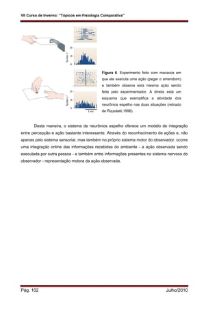VII Curso de Inverno: “Tópicos em Fisiologia Comparativa”
Pág. 102 Julho/2010
Desta maneira, o sistema de neurônios espelho oferece um modelo de integração
entre percepção e ação bastante interessante. Através do reconhecimento de ações e, não
apenas pelo sistema sensorial, mas também no próprio sistema motor do observador, ocorre
uma integração online das informações recebidas do ambiente - a ação observada sendo
executada por outra pessoa - e também entre informações presentes no sistema nervoso do
observador - representação motora da ação observada.
Figura 6. Experimento feito com macacos em
que ele executa uma ação (pegar o amendoim)
e também observa esta mesma ação sendo
feita pelo experimentador. À direita está um
esquema que exemplifica a atividade dos
neurônios espelho nas duas situações (retirado
de Rizzolatti,1996).
 