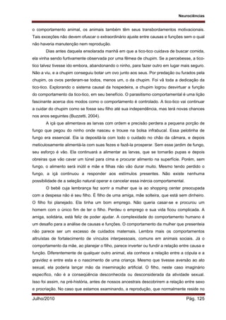 Neurociências
Julho/2010 Pág. 125
o comportamento animal, os animais também têm seus transbordamentos motivacionais.
Tais exceções não devem ofuscar o extraordinário ajuste entre causas e funções sem o qual
não haveria manutenção nem reprodução.
Dias antes daquela ensolarada manhã em que a tico-tico cuidava de buscar comida,
ela vinha sendo furtivamente observada por uma fêmea de chupim. Se a percebesse, a tico-
tico talvez tivesse ido embora, abandonando o ninho, para fazer outro em lugar mais seguro.
Não a viu, e a chupim conseguiu botar um ovo junto aos seus. Por predação ou furados pela
chupim, os ovos perderam-se todos, menos um, o da chupim. Foi vã toda a dedicação da
tico-tico. Explorando o sistema causal da hospedeira, a chupim logrou desvirtuar a função
do comportamento da tico-tico, em seu benefício. O parasitismo comportamental é uma lição
fascinante acerca dos modos como o comportamento é controlado. A tico-tico vai continuar
a cuidar do chupim como se fosse seu filho até sua independência, mas terá novas chances
nos anos seguintes (Buzzetti, 2004).
A içá que alimentava as larvas com ordem e precisão perdera a pequena porção de
fungo que pegou do ninho onde nasceu e trouxe na bolsa infrabucal. Essa pelotinha de
fungo era essencial. Ela ia depositá-la com todo o cuidado no chão da câmara, e depois
meticulosamente alimentá-la com suas fezes e fazê-la prosperar. Sem esse jardim de fungo,
seu esforço é vão. Ela continuará a alimentar as larvas, que se tornarão pupas e depois
obreiras que vão cavar um túnel para cima e procurar alimento na superfície. Porém, sem
fungo, o alimento será inútil e mãe e filhas não vão durar muito. Mesmo tendo perdido o
fungo, a içá continuou a responder aos estímulos presentes. Não existe nenhuma
possibilidade de a seleção natural operar e cancelar essa inércia comportamental.
O bebê cuja lembrança fez sorrir a mulher que ia ao shopping center preocupada
com a despesa não é seu filho. É filho de uma amiga, mãe solteira, que está sem dinheiro.
O filho foi planejado. Ela tinha um bom emprego. Não queria casar-se e procurou um
homem com o único fim de ter o filho. Perdeu o emprego e sua vida ficou complicada. A
amiga, solidária, está feliz de poder ajudar. A complexidade do comportamento humano é
um desafio para a análise de causas e funções. O comportamento da mulher que presenteia
não parece ser um excesso de cuidados maternais. Lembra mais os comportamentos
altruístas de fortalecimento de vínculos interpessoais, comuns em animais sociais. Já o
comportamento da mãe, ao planejar o filho, parece inverter ou fundir a relação entre causa e
função. Diferentemente de qualquer outro animal, ela conhece a relação entre a cópula e a
gravidez e entre esta e o nascimento de uma criança. Mesmo que tivesse aversão ao ato
sexual, ela poderia lançar mão da inseminação artificial. O filho, neste caso imaginário
específico, não é a conseqüência desconhecida ou desconsiderada da atividade sexual.
Isso foi assim, na pré-história, antes de nossos ancestrais descobrirem a relação entre sexo
e procriação. No caso que estamos examinando, a reprodução, que normalmente reside no
 