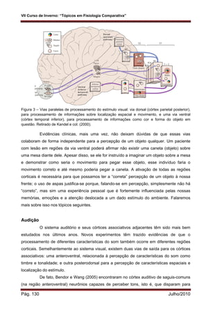 VII Curso de Inverno: “Tópicos em Fisiologia Comparativa”
Pág. 130 Julho/2010
Figura 3 – Vias paralelas de processamento do estímulo visual: via dorsal (córtex parietal posterior),
para processamento de informações sobre localização espacial e movimento, e uma via ventral
(córtex temporal inferior), para processamento de informações como cor e forma do objeto em
questão. Retirado de Kandel e col. (2000).
Evidências clínicas, mais uma vez, não deixam dúvidas de que essas vias
colaboram de forma independente para a percepção de um objeto qualquer. Um paciente
com lesão em regiões da via ventral poderá afirmar não existir uma caneta (objeto) sobre
uma mesa diante dele. Apesar disso, se ele for instruído a imaginar um objeto sobre a mesa
e demonstrar como seria o movimento para pegar esse objeto, esse indivíduo faria o
movimento correto e até mesmo poderia pegar a caneta. A ativação de todas as regiões
corticais é necessária para que possamos ter a “correta” percepção de um objeto à nossa
frente; o uso de aspas justifica-se porque, falando-se em percepção, simplesmente não há
“correto”, mas sim uma experiência pessoal que é fortemente influenciada pelas nossas
memórias, emoções e a atenção deslocada a um dado estímulo do ambiente. Falaremos
mais sobre isso nos tópicos seguintes.
Audição
O sistema auditório e seus córtices associativos adjacentes têm sido mais bem
estudados nos últimos anos. Novos experimentos têm trazido evidências de que o
processamento de diferentes características do som também ocorre em diferentes regiões
corticais. Semelhantemente ao sistema visual, existem duas vias de saída para os córtices
associativos: uma anteroventral, relacionada à percepção de características do som como
timbre e tonalidade; e outra posterodorsal para a percepção de características espaciais e
localização do estímulo.
De fato, Bendor e Wang (2005) encontraram no córtex auditivo de saguis-comuns
(na região anteroventral) neurônios capazes de perceber tons, isto é, que disparam para
 