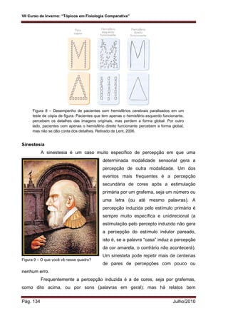 VII Curso de Inverno: “Tópicos em Fisiologia Comparativa”
Pág. 134 Julho/2010
Figura 8 – Desempenho de pacientes com hemisférios cerebrais paralisados em um
teste de cópia de figura. Pacientes que tem apenas o hemisfério esquerdo funcionante,
percebem os detalhes das imagens originais, mas perdem a forma global. Por outro
lado, pacientes com apenas o hemisfério direito funcionante percebem a forma global,
mas não se dão conta dos detalhes. Retirado de Lent, 2006.
Sinestesia
A sinestesia é um caso muito específico de percepção em que uma
determinada modalidade sensorial gera a
percepção de outra modalidade. Um dos
eventos mais frequentes é a percepção
secundária de cores após a estimulação
primária por um grafema, seja um número ou
uma letra (ou até mesmo palavras). A
percepção induzida pelo estímulo primário é
sempre muito específica e unidirecional (a
estimulação pelo percepto induzido não gera
a percepção do estímulo indutor pareado,
isto é, se a palavra “casa” induz a percepção
da cor amarela, o contrário não acontecerá).
Um sinesteta pode repetir mais de centenas
de pares de percepções com pouco ou
nenhum erro.
Frequentemente a percepção induzida é a de cores, seja por grafemas,
como dito acima, ou por sons (palavras em geral); mas há relatos bem
Figura 9 – O que você vê nesse quadro?
 
