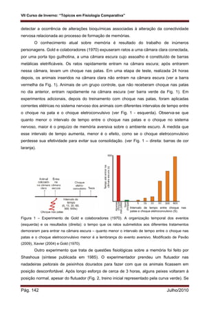 VII Curso de Inverno: “Tópicos em Fisiologia Comparativa”
Pág. 142 Julho/2010
detectar a ocorrência de alterações bioquímicas associadas à alteração da conectividade
nervosa relacionada ao processo de formação de memórias.
O conhecimento atual sobre memória é resultado do trabalho de inúmeros
personagens. Gold e colaboradores (1970) expuseram ratos a uma câmara clara conectada,
por uma porta tipo guilhotina, a uma câmara escura cujo assoalho é constituído de barras
metálicas eletrificáveis. Os ratos rapidamente entram na câmara escura; após entrarem
nessa câmara, levam um choque nas patas. Em uma etapa de teste, realizada 24 horas
depois, os animais inseridos na câmara clara não entram na câmara escura (ver a barra
vermelha da Fig. 1). Animais de um grupo controle, que não receberam choque nas patas
no dia anterior, entram rapidamente na câmara escura (ver barra verde da Fig. 1). Em
experimentos adicionais, depois do treinamento com choque nas patas, foram aplicadas
correntes elétricas no sistema nervoso dos animais com diferentes intervalos de tempo entre
o choque na pata e o choque eletroconvulsivo (ver Fig. 1 - esquerda). Observa-se que
quanto menor o intervalo de tempo entre o choque nas patas e o choque no sistema
nervoso, maior é o prejuízo de memória aversiva sobre o ambiente escuro. À medida que
esse intervalo de tempo aumenta, menor é o efeito, como se o choque eletroconvulsivo
perdesse sua efetividade para evitar sua consolidação. (ver Fig. 1 – direita: barras de cor
laranja).
Figura 1 – Experimento de Gold e colaboradores (1970). A organização temporal dos eventos
(esquerda) e os resultados (direita): o tempo que os ratos submetidos aos diferentes tratamentos
demoraram para entrar na câmara escura – quanto menor o intervalo de tempo entre o choque nas
patas e o choque eletroconvulsivo menor é a lembrança do evento aversivo. Modificado de Pavão
(2009), Xavier (2004) e Gold (1970).
Outro experimento que trata de questões fisiológicas sobre a memória foi feito por
Shashoua (síntese publicada em 1985). O experimentador prendeu um flutuador nas
nadadeiras peitorais de peixinhos dourados para fazer com que os animais ficassem em
posição desconfortável. Após longo esforço de cerca de 3 horas, alguns peixes voltaram à
posição normal, apesar do flutuador (Fig. 2, treino inicial representado pela curva verde). Se
Intervalo de tempo entre choque nas
patas e choque eletroconvulsivo (S).
 