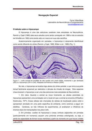 Neurociências
Julho/2010 Pág. 153
Navegação Espacial
Cyrus Villas-Boas
Laboratório de Neurociência e Comportamento
cyrusvb@gmail.com
O debate sobre o hipocampo
O hipocampo é uma das estruturas cerebrais mais estudadas na Neurociência.
Ramón y Cajal (1968) data seus estudos como tendo começado em 1888 e cita os estudos
de Schaffer em 1892 como tendo sido um marco em sua vida científica.
Anatomicamente organizado em camadas, o hipocampo é claramente identificável
como sendo diferente do córtex (Ramón y Cajal, 1968; Witter e col., 1989) (Fig. 1).
Figura 1 – corte coronal do encéfalo de rato corado com cresil violeta, mostrando o giro denteado
(DG) e o hipocampo (CA1 e CA3). Adaptado de Paxinos e Watson (2004).
No rato, o hipocampo se localiza logo abaixo do córtex parietal, o que torna sua parte
dorsal facilmente acessível por eletrodos e cânulas de infusão de drogas. Dois aspectos
chave levaram o hipocampo a ser uma das estruturas mais estudadas da Neurociência:
1. Em ratos. Quando o animal se move livremente, as células piramidais do
hipocampo apresentam uma correlação com o local em que o animal se encontra (O’Keefe e
Dostrovsky, 1971). Essas células são chamadas de células de localização (place cells) e
apresentam atividade em uma parte específica do ambiente, como veremos a seguir em
detalhes. Centenas, se não milhares de experimentos, já analisaram a influência de
diversos tipos de manipulações nas place cells.
2. Em primatas. Lesões do hipocampo e áreas corticais adjacentes em primatas
(particularmente em humanos) causam uma profunda amnésia anterógrada, ou seja, a
perda da capacidade de formar novas memórias a partir do momento em que houve a lesão
 
