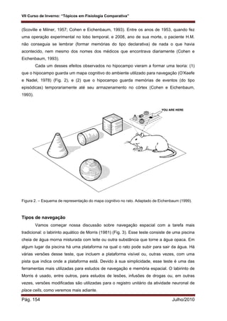 VII Curso de Inverno: “Tópicos em Fisiologia Comparativa”
Pág. 154 Julho/2010
(Scoville e Milner, 1957; Cohen e Eichenbaum, 1993). Entre os anos de 1953, quando fez
uma operação experimental no lobo temporal, e 2008, ano de sua morte, o paciente H.M.
não conseguia se lembrar (formar memórias do tipo declarativa) de nada o que havia
acontecido, nem mesmo dos nomes dos médicos que encontrava diariamente (Cohen e
Eichenbaum, 1993).
Cada um desses efeitos observados no hipocampo vieram a formar uma teoria: (1)
que o hipocampo guarda um mapa cognitivo do ambiente utilizado para navegação (O’Keefe
e Nadel, 1978) (Fig. 2), e (2) que o hipocampo guarda memórias de eventos (do tipo
episódicas) temporariamente até seu armazenamento no córtex (Cohen e Eichenbaum,
1993).
Figura 2. – Esquema de representação do mapa cognitivo no rato. Adaptado de Eichenbaum (1999).
Tipos de navegação
Vamos começar nossa discussão sobre navegação espacial com a tarefa mais
tradicional: o labirinto aquático de Morris (1981) (Fig. 3). Esse teste consiste de uma piscina
cheia de água morna misturada com leite ou outra substância que torne a água opaca. Em
algum lugar da piscina há uma plataforma na qual o rato pode subir para sair da água. Há
várias versões desse teste, que incluem a plataforma visível ou, outras vezes, com uma
pista que indica onde a plataforma está. Devido à sua simplicidade, esse teste é uma das
ferramentas mais utilizadas para estudos de navegação e memória espacial. O labirinto de
Morris é usado, entre outros, para estudos de lesões, infusões de drogas ou, em outras
vezes, versões modificadas são utilizadas para o registro unitário da atividade neuronal de
place cells, como veremos mais adiante.
 