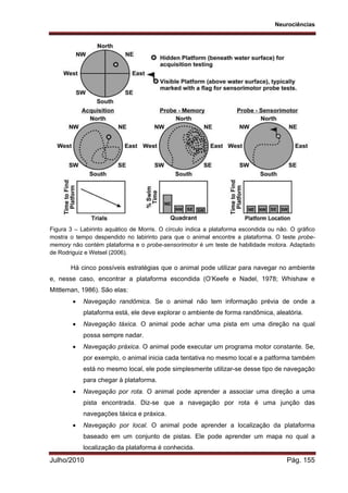 Neurociências
Julho/2010 Pág. 155
Figura 3 – Labirinto aquático de Morris. O círculo indica a plataforma escondida ou não. O gráfico
mostra o tempo despendido no labirinto para que o animal encontre a plataforma. O teste probe-
memory não contém plataforma e o probe-sensorimotor é um teste de habilidade motora. Adaptado
de Rodriguiz e Wetsel (2006).
Há cinco possíveis estratégias que o animal pode utilizar para navegar no ambiente
e, nesse caso, encontrar a plataforma escondida (O’Keefe e Nadel, 1978; Whishaw e
Mittleman, 1986). São elas:
 Navegação randômica. Se o animal não tem informação prévia de onde a
plataforma está, ele deve explorar o ambiente de forma randômica, aleatória.
 Navegação táxica. O animal pode achar uma pista em uma direção na qual
possa sempre nadar.
 Navegação práxica. O animal pode executar um programa motor constante. Se,
por exemplo, o animal inicia cada tentativa no mesmo local e a patforma também
está no mesmo local, ele pode simplesmente utilizar-se desse tipo de navegação
para chegar à plataforma.
 Navegação por rota. O animal pode aprender a associar uma direção a uma
pista encontrada. Diz-se que a navegação por rota é uma junção das
navegações táxica e práxica.
 Navegação por local. O animal pode aprender a localização da plataforma
baseado em um conjunto de pistas. Ele pode aprender um mapa no qual a
localização da plataforma é conhecida.
 