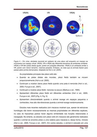 Neurociências
Julho/2010 Pág. 157
Figura 4 – Em cima, atividade neuronal em spikes/s de uma place cell enquanto um macaco se
movimenta num espaço virtual. VR(W), VR e VR(N) são diferentes tamanhos de ambientes similares.
VR(W) e VR têm pistas distais iguais, porém em posições diferentes. VR(N) é um ambiente similar a
VR, porem com menor tamanho. mesmas posições. Embaixo, as rotas que os animais faziam para
passar pelos pontos demarcados. Adaptado de Hori e col. (2005).
As propriedades principais das place cells são:
 Quando as pistas distais são movidas, place fields também se movem
proporcionalmente (Hori e col. 2005).
 Continuam a mostrar claros place fields quando uma pista é removida (Hori e col.,
2005; Furuya e col., 2007).
 Continuam a mostrar place fields menores no escuro (Markus e col., 1994).
 Apresentam diferentes place fields em diferentes ambientes (Hori e col., 2005;
Furuya e col., 2007) (Fig. 4, Fig. 5).
 Apresentam direcionalidade quando o animal navega em espaços pequenos e
conhecidos, mas são não-direcionais quando o animal navega randomicamente.
Estudos mais recentes realizados com macacos mostram que, apesar de estruturas
homólogas não terem necessariamente as mesmas propriedades em diferentes espécies,
no caso do hipocampo parece haver alguma similaridade nas funções relacionadas à
navegação. No entanto, os estudos com place cells em macacos são geralmente realizados
quando o animal se encontra preso a uma cadeira para macacos e, dessa forma, imóveis
(Hori e col., 2005; Furuya e col., 2007). Em outros estudos, o animal é colocado em uma
Spikes/s
 
