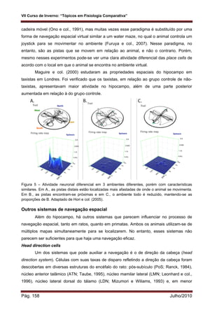 VII Curso de Inverno: “Tópicos em Fisiologia Comparativa”
Pág. 158 Julho/2010
cadeira móvel (Ono e col., 1991), mas muitas vezes esse paradigma é substituído por uma
forma de navegação espacial virtual similar a um water maze, no qual o animal controla um
joystick para se movimentar no ambiente (Furuya e col., 2007). Nesse paradigma, no
entanto, são as pistas que se movem em relação ao animal, e não o contrario. Porém,
mesmo nesses experimentos pode-se ver uma clara atividade diferencial das place cells de
acordo com o local em que o animal se encontra no ambiente virtual.
Maguire e col. (2000) estudaram as propriedades espaciais do hipocampo em
taxistas em Londres. Foi verificado que os taxistas, em relação ao grupo controle de não-
taxistas, apresentavam maior atividade no hipocampo, além de uma parte posterior
aumentada em relação à do grupo controle.
Figura 5 – Atividade neuronal diferencial em 3 ambientes diferentes, porém com características
similares. Em A., as pistas distais estão localizadas mais afastadas de onde o animal se movimenta.
Em B., as pistas encontram-se próximas e em C., o ambiente todo é reduzido, mantendo-se as
proporções de B. Adaptado de Hori e col. (2005).
Outros sistemas de navegação espacial
Além do hipocampo, há outros sistemas que parecem influenciar no processo de
navegação espacial, tanto em ratos, quanto em primatas. Ambos os animais utilizam-se de
múltiplos mapas simultaneamente para se localizarem. No entanto, esses sistemas não
parecem ser suficientes para que haja uma navegação eficaz.
Head direction cells
Um dos sistemas que pode auxiliar a navegação é o de direção da cabeça (head
direction system). Células com suas taxas de disparo refletindo a direção da cabeça foram
descobertas em diversas estruturas do encéfalo do rato: pós-subículo (PoS; Ranck, 1984),
núcleo anterior talâmico (ATN; Taube, 1995), núcleo mamilar lateral (LMN; Leonhard e col.,
1996), núcleo lateral dorsal do tálamo (LDN; Mizumori e Wiliams, 1993) e, em menor
 