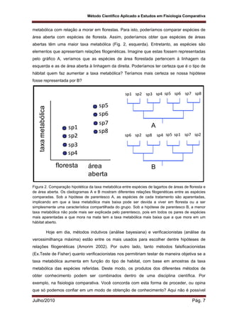Método Científico Aplicado a Estudos em Fisiologia Comparativa
Julho/2010 Pág. 7
metabólica com relação a morar em florestas. Para isto, poderíamos comparar espécies de
área aberta com espécies de floresta. Assim, poderíamos obter que espécies de áreas
abertas têm uma maior taxa metabólica (Fig. 2, esquerda). Entretanto, as espécies são
elementos que apresentam relações filogenéticas. Imagine que estas fossem representadas
pelo gráfico A, veríamos que as espécies de área florestada pertencem à linhagem da
esquerda e as de área aberta à linhagem da direita. Poderíamos ter certeza que é o tipo de
hábitat quem faz aumentar a taxa metabólica? Teríamos mais certeza se nossa hipótese
fosse representada por B?
taxametabólica
floresta área
aberta
sp1
sp2
sp3
sp4
sp5
sp6
sp7
sp8
sp5 sp6 sp7 sp8sp1 sp2 sp3 sp4
sp5 sp1 sp7 sp2sp6 sp2 sp8 sp4
B
A
Figura 2. Comparação hipotética da taxa metabólica entre espécies de lagartos de áreas de floresta e
de área aberta. Os cladogramas A e B mostram diferentes relações filogenéticas entre as espécies
comparadas. Sob a hipótese de parentesco A, as espécies de cada tratamento são aparentadas,
implicando em que a taxa metabólica mais baixa pode ser devida a viver em floresta ou a ser
simplesmente uma característica compartilhada do grupo. Sob a hipótese de parentesco B, a menor
taxa metabólica não pode mais ser explicada pelo parentesco, pois em todos os pares de espécies
mais aparentadas a que mora na mata tem a taxa metabólica mais baixa que a que mora em um
hábitat aberto.
Hoje em dia, métodos indutivos (análise bayesiana) e verificacionistas (análise da
verossimilhança máxima) estão entre os mais usados para escolher dentre hipóteses de
relações filogenéticas (Amorim 2002). Por outro lado, tanto métodos falsificacionistas
(Ex.Teste de Fisher) quanto verificacionistas nos permitiriam testar de maneira objetiva se a
taxa metabólica aumenta em função do tipo de habitat, com base em amostras da taxa
metabólica das espécies referidas. Deste modo, os produtos dos diferentes métodos de
obter conhecimento podem ser combinados dentro de uma disciplina científica. Por
exemplo, na fisiologia comparativa. Você concorda com esta forma de proceder, ou opina
que só podemos confiar em um modo de obtenção de conhecimento? Aqui não é possível
 