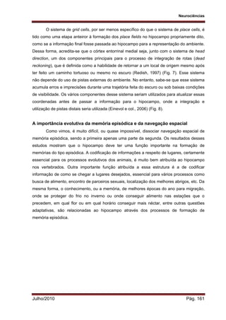 Neurociências
Julho/2010 Pág. 161
O sistema de grid cells, por ser menos específico do que o sistema de place cells, é
tido como uma etapa anteiror à formação dos place fields no hipocampo propriamente dito,
como se a informação final fosse passada ao hipocampo para a representação do ambiente.
Dessa forma, acredita-se que o córtex entorrinal medial seja, junto com o sistema de head
direction, um dos componentes principais para o processo de integração de rotas (dead
reckoning), que é definida como a habilidade de retornar a um local de origem mesmo após
ter feito um caminho tortuoso ou mesmo no escuro (Redish, 1997) (Fig. 7). Esse sistema
não depende do uso de pistas externas do ambiente. No entanto, sabe-se que esse sistema
acumula erros e imprecisões durante uma trajetória feita do escuro ou sob baixas condições
de visibilidade. Os vários componentes desse sistema seriam utilizados para atualizar essas
coordenadas antes de passar a informação para o hipocampo, onde a integração e
utilização de pistas distais seria utilizada (Einevol e col., 2006) (Fig. 8).
A importância evolutiva da memória episódica e da navegação espacial
Como vimos, é muito difícil, ou quase impossível, dissociar navegação espacial de
memória episódica, sendo a primeira apenas uma parte da segunda. Os resultados desses
estudos mostram que o hipocampo deve ter uma função importante na formação de
memórias do tipo episódica. A codificação de informações a respeito de lugares, certamente
essencial para os processos evolutivos dos animais, é muito bem atribuída ao hipocampo
nos vertebrados. Outra importante função atribuída a essa estrutura é a de codificar
informação de como se chegar a lugares desejados, essencial para vários processos como
busca de alimento, encontro de parceiros sexuais, localização dos melhores abrigos, etc. Da
mesma forma, o conhecimento, ou a memória, de melhores épocas do ano para migração,
onde se proteger do frio no inverno ou onde conseguir alimento nas estações que o
precedem, em qual flor ou em qual horário conseguir mais néctar, entre outras questões
adaptativas, são relacionadas ao hipocampo através dos processos de formação de
memória episódica.
 
