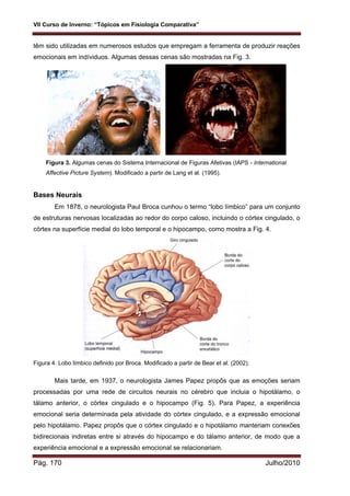 VII Curso de Inverno: “Tópicos em Fisiologia Comparativa”
Pág. 170 Julho/2010
têm sido utilizadas em numerosos estudos que empregam a ferramenta de produzir reações
emocionais em indíviduos. Algumas dessas cenas são mostradas na Fig. 3.
Figura 3. Algumas cenas do Sistema Internacional de Figuras Afetivas (IAPS - International
Affective Picture System). Modificado a partir de Lang et al. (1995).
Bases Neurais
Em 1878, o neurologista Paul Broca cunhou o termo “lobo límbico” para um conjunto
de estruturas nervosas localizadas ao redor do corpo caloso, incluindo o córtex cingulado, o
córtex na superfície medial do lobo temporal e o hipocampo, como mostra a Fig. 4.
Figura 4. Lobo límbico definido por Broca. Modificado a partir de Bear et al. (2002).
Mais tarde, em 1937, o neurologista James Papez propôs que as emoções seriam
processadas por uma rede de circuitos neurais no cérebro que incluia o hipotálamo, o
tálamo anterior, o córtex cingulado e o hipocampo (Fig. 5). Para Papez, a experiência
emocional seria determinada pela atividade do córtex cingulado, e a expressão emocional
pelo hipotálamo. Papez propôs que o córtex cingulado e o hipotálamo manteriam conexões
bidirecionais indiretas entre si através do hipocampo e do tálamo anterior, de modo que a
experiência emocional e a expressão emocional se relacionariam.
 