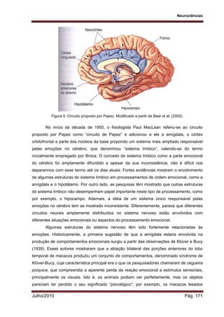 Neurociências
Julho/2010 Pág. 171
Figura 5. Circuito proposto por Papez. Modificado a partir de Bear et al. (2002).
No início da década de 1950, o fisiologista Paul MacLean referiu-se ao circuito
proposto por Papez como “circuito de Papez” e adicionou a ele a amígdala, o córtex
orbitofrontal e parte dos núcleos da base propondo um sistema mais ampliado responsável
pelas emoções no cérebro, que denominou “sistema límbico”, valendo-se do termo
inicialmente empregado por Broca. O conceito de sistema límbico como a parte emocional
do cérebro foi amplamente difundido e apesar da sua inconsistência, não é difícil nos
depararmos com esse termo até os dias atuais. Fortes evidências mostram o envolvimento
de algumas estruturas do sistema límbico em processamentos de ordem emocional, como a
amígdala e o hipotálamo. Por outro lado, as pesquisas têm mostrado que outras estruturas
do sistema límbico não desempenham papel importante neste tipo de processamento, como
por exemplo, o hipocampo. Ademais, a idéia de um sistema único responsável pelas
emoções no cérebro tem se mostrado inconsistente. Diferentemente, parece que diferentes
circuitos neurais amplamente distribuídos no sistema nervoso estão envolvidos com
diferentes situações emocionais ou aspectos do processamento emocional.
Algumas estruturas do sistema nervoso têm sido fortemente relacionadas às
emoções. Historicamente, a primeira sugestão de que a amígdala estaria envolvida na
produção de comportamentos emocionais surgiu a partir das observações de Klüver e Bucy
(1939). Esses autores mostraram que a ablação bilateral das porções anteriores do lobo
temporal de macacos produziu um conjunto de comportamentos, denominado síndrome de
Klüver-Bucy, cuja característica principal era o que os pesquisadores chamaram de cegueira
psíquica, que compreendia a aparente perda da reação emocional a estímulos sensoriais,
principalmente os visuais. Isto é, os animais podiam ver perfeitamente, mas os objetos
pareciam ter perdido o seu significado “psicológico”; por exemplo, os macacos lesados
 