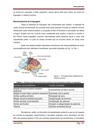 Neurociências
Julho/2010 Pág. 181
na busca por respostas a estas perguntas, vamos agora olhar para dentro do centro da
linguagem: o cérebro humano.
Neuroanatomia da Linguagem
Todos os aspectos da linguagem são comandados pelo cérebro: a captação de
ondas sonoras provenientes da conversa entre duas pessoas é levada ao sistema nervoso
central pelo nosso sistema auditivo; a produção da fala, envolvendo a articulação dos lábios
e língua, também tem seu controle motor coordenado pelo cérebro; a leitura e a escrita, e
até mesmo nossa linguagem corporal, intermediados pelos sistemas visual e motor, são
orquestrados pelos 1,5 quilo de massa cinzenta que se encontra dentro de nossa caixa
craniana.
Cada uma destas funções linguísticas encontra-se sob responsabilidade de áreas
neuroanatômicas bem definidas e localizadas, que serão ilustradas na Fig. 1 e Tab. 1:
Tabela 1 - Relação de algumas estruturas cerebrais e seus respectivos papéis na linguagem.
Estrutura neuroanatômica Função controlada
Região temporo-superior posterior
esquerda
Compreensão da fala e escrita
Região frontal inferior posterior esquerda Expressão oral e escrita
Córtex auditivo primário Percepção de sons
Região temporo-parietal esquerda Categorização de fonemas
Córtex estriado e pré-estriado Visualização de palavras
Córtex pré-frontal Iniciação e categorização de palavras
Tálamo Interface semântico-lexical
Percebemos, então, um fenomêno de lateralização cerebral no que se diz respeito
ao controle da linguagem, determinando o hemisfério esquerdo como dominante. De fato,
99% das pessoas destras e 70% dos canhotos desenvolvem tal característica. O hemisfério
Figura 1 – Principais áreas anatômicas do
cérebro humano.
 