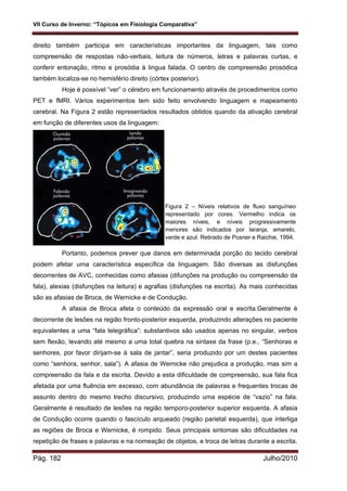 VII Curso de Inverno: “Tópicos em Fisiologia Comparativa”
Pág. 182 Julho/2010
direito também participa em características importantes da linguagem, tais como
compreensão de respostas não-verbais, leitura de números, letras e palavras curtas, e
conferir entonação, ritmo e prosódia à lingua falada. O centro de compreensão prosódica
também localiza-se no hemisfério direito (córtex posterior).
Hoje é possível “ver” o cérebro em funcionamento através de procedimentos como
PET e fMRI. Vários experimentos tem sido feito envolvendo linguagem e mapeamento
cerebral. Na Figura 2 estão representados resultados obtidos quando da ativação cerebral
em função de diferentes usos da linguagem:
Portanto, podemos prever que danos em determinada porção do tecido cerebral
podem afetar uma característica específica da linguagem. São diversas as disfunções
decorrentes de AVC, conhecidas como afasias (difunções na produção ou compreensão da
fala), alexias (disfunções na leitura) e agrafias (disfunções na escrita). As mais conhecidas
são as afasias de Broca, de Wernicke e de Condução.
A afasia de Broca afeta o conteúdo da expressão oral e escrita.Geralmente é
decorrente de lesões na região fronto-posterior esquerda, produzindo alterações no paciente
equivalentes a uma “fala telegráfica”: substantivos são usados apenas no singular, verbos
sem flexão, levando até mesmo a uma total quebra na sintaxe da frase (p.e., “Senhoras e
senhores, por favor dirijam-se à sala de jantar”, seria produzido por um destes pacientes
como “senhora, senhor, sala”). A afasia de Wernicke não prejudica a produção, mas sim a
compreensão da fala e da escrita. Devido a esta dificuldade de compreensão, sua fala fica
afetada por uma fluência em excesso, com abundância de palavras e frequentes trocas de
assunto dentro do mesmo trecho discursivo, produzindo uma espécie de “vazio” na fala.
Geralmente é resultado de lesões na região temporo-posterior superior esquerda. A afasia
de Condução ocorre quando o fascículo arqueado (região parietal esquerda), que interliga
as regiões de Broca e Wernicke, é rompido. Seus principais sintomas são dificuldades na
repetição de frases e palavras e na nomeação de objetos, e troca de letras durante a escrita.
Figura 2 – Níveis relativos de fluxo sanguíneo
representado por cores. Vermelho indica os
maiores níveis, e níveis progressivamente
menores são indicados por laranja, amarelo,
verde e azul. Retirado de Posner e Raichie, 1994.
 