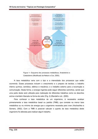 VII Curso de Inverno: “Tópicos em Fisiologia Comparativa”
Pág. 206 Julho/2010
Figura 1– Esquema dos processos metabólicos, Anabolismo e
Catabolismo (Modificado de Nelson e Cox, 2005).
A taxa metabólica varia com o tipo e a intensidade dos processos que estão
ocorrendo. Esses processos incluem o crescimento e o preparo de tecidos; o trabalho
interno químico, osmótico, elétrico e mecânico; e o trabalho externo para a locomoção e
comunicação. Desta forma, a energia ingerida pode seguir diferentes caminhos, sendo que
uma parte desta será utilizada para realização de diferentes trabalhos como os descritos
acima e também liberada na forma de calor (Fig. 2) (Randall e col., 2000).
Para conhecer a taxa metabólica de um organismo, é necessário analisar
primeiramente a taxa metabólica basal ou padrão (TMB), que consiste na menor taxa
metabólica ou no mínimo de energia que o organismo necessita para viver (Hochachka e
Somero, 2002). Com a TMB é possível calcular o quanto da taxa metabólica deste
organismo foi alterada para realizar algum trabalho.
 